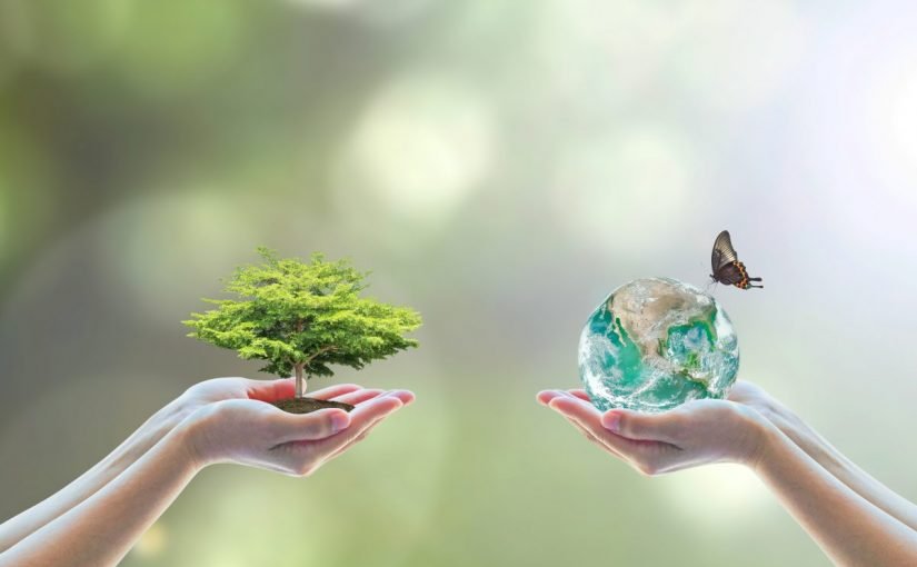 خدمات البيئة: ركيزة التنمية المستدامة وضمان مستقبل الأجيال