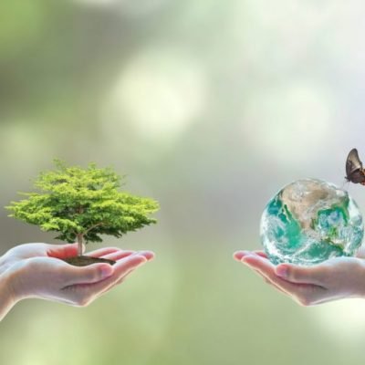 خدمات البيئة: ركيزة التنمية المستدامة وضمان مستقبل الأجيال